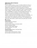Elaborando el Plan de Empresa
