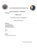 LABORATORIO DE CIENCIAS EXPERIMENTALES Reporte sobre los pesticidas