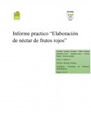 Informe practico “Elaboración de néctar de frutos rojos”