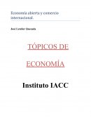 Economía abierta y comercio internacional: Tópicos de economía