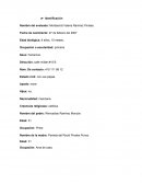 Ejemplo reporte psicológico