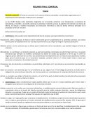 RESUMEN FINAL COMERCIAL