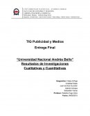 Publicidad y medios (informe)