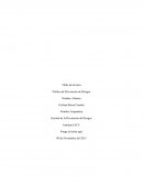 Política de la Prevención de Riesgos