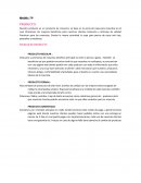 NIVELES DE PRODUCTO PRODUCTO MEDULAR etc