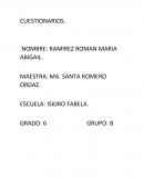 LOS EXAMENES ESPAÑOL.