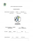 ¿La planta Beta Vulgaris (Betabel), será una buena alternativa para el tratamiento de la anemia?