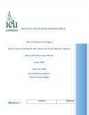 Desarrollar estrategias de capacitación, gestiones de unidad de mando con eficiencia, cambios en la cultura organizacional