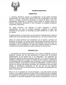 Veneficios y desventajas de la globalización