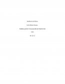 Formulación y evaluación de servicio de trasporte turístico tipo Citytour