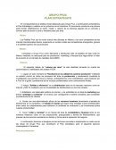 GRUPO PRUX: PLAN ESTRATÉGICO