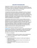 EL ANÁLISIS DE ORGANIZACIÓN