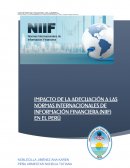 IMPACTO DE LA ADECUACIÓN A LAS NORMAS INTERNACIONALES DE INFORMACIÓN FINANCIERA (NIIF) EN EL PERÚ