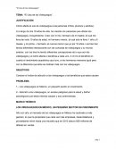 Cómo afecta el uso de videojuegos a las personas (niños, jóvenes y adultos).