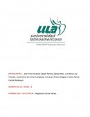 ¿Qué categorías de variables que afectan el desempeño identifican?