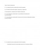 Los procedimientos constitucionales: los procedimientos de declaración de inconstitucionalidad
