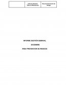 AREA PREVENCION DE RIESGOS: INFORME GESTIÓN SEMANAL