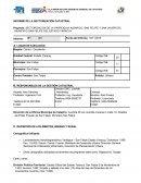 Sectorización catastral del estado de Yaracuy