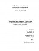 Elaboración de un champú a base de la flor de Cayena (Hibiscus rosa-sinensis) para el mejoramiento capilar en la población de Conejeros del Estado Nueva Esparta.