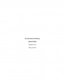 Mencionar para cada puesto de trabajo, al menos tres factores de riesgo de trastorno músculo-esqueléticos.