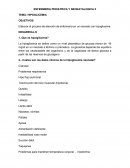 Hipoglicemia. Elaborar el proceso de atención de enfermería en un neonato con hipoglicemia