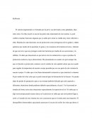 Reflexión sobre el sistema tegumentario