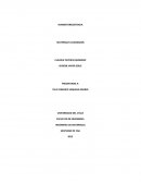 MAGNETORESISTENCIA: MATERIALES AVANZADOS