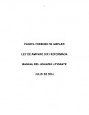 MANUAL DEL USUARIO LITIGANTE