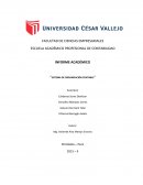 SISTEMA DE ORGANIZACIÓN CONTABLE