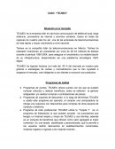 Caso: “Telmex“ situación en el mercado