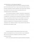 Cuales son los Antecedentes de la contaminacion ambiental