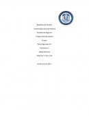 Ensayo “No le digas que no”