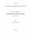 El nuevo Mecanismo de Absorción de los Tóxicos