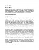 El trabajo. El trabajo es la «“clave esencial” de toda la cuestión social