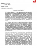 CURSO DE AUTODESARROLO