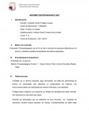 INFORME PSICOPEDAGÓGICO SEP