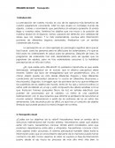 RESUMEN bloque Percepción TEMA