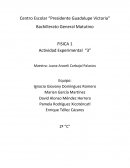 Actividad Experimental. Leyes de Newton