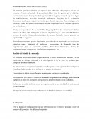 ANALISISS DEL RESUMEN EJECUTIVO