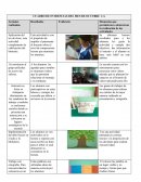 EJEMPLO DE UN CUADRO DE EVIDENCIAS DEL MES DE OCTUBRE