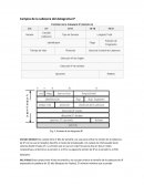 Cuales son los Campos de la cabecera del datagrama IP