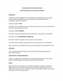 ESTRUCTURA BÁSICA DE LA TESIS