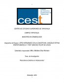 Ensayo. "Reincidencia Delicitiva en Adolescentes"