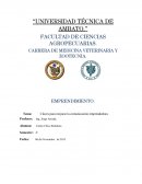 Claves para mejorar la comunicación emprendedora.