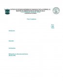 LINEAMIENTOS DE PRESENTACIÓN DE ENSAYOS