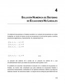 SOLUCIÓN NUMÉRICA DE SISTEMAS DE ECUACIONES NO LINEALES