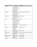 Es una aplicación que per mite socializar, comunicarme con mis familiares