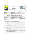 Práctica de ingeniería infdustrial