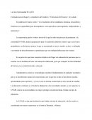 Discurso "La gran oportunidad Sayed"