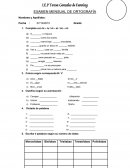 Tarea de español para escolares